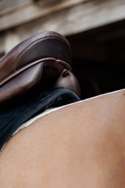 Kentucky Horsewear Kentucky Saddlepad Skin Friendly Velvet Dressage -Equestrian Supplies Online Shop 00006111W 4 218090441
