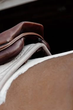 Kentucky Horsewear Kentucky Saddlepad Skin Friendly Velvet Jumping -Equestrian Supplies Online Shop 00006112W 4 218052087