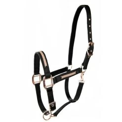 Lamicell Halter Sparkling -Equestrian Supplies Online Shop 00006120W 1 301090399