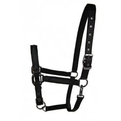Lamicell Halter Sparkling -Equestrian Supplies Online Shop 00006120W 2 301090403