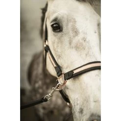 Lamicell Halter Sparkling -Equestrian Supplies Online Shop 00006120W 3 301090399