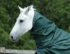 Equestrian Supplies Online Shop -Equestrian Supplies Online Shop 00006150W 1 401360003