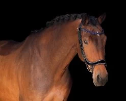 PresTeq Browband StarGlow -Equestrian Supplies Online Shop 00006209W 2 304050028