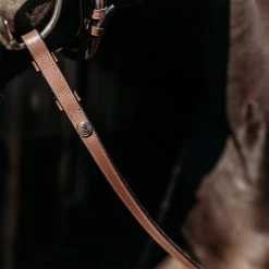 PresTeq Reins FayRein With Stops(8cm) 6 PresTeq Reins FayRein With Stops(8cm) -Equestrian Supplies Online Shop 00006212W 2 303050096