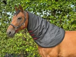 DKR Neck Turnout 200gr -Equestrian Supplies Online Shop 00006214W 1 401390004