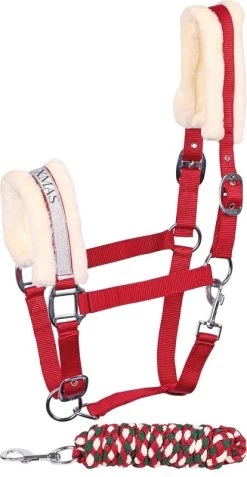 Harry's Horse Headcollar And Lead Lyrics Christmas