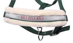 Harry's Horse Headcollar And Lead Lyrics Christmas -Equestrian Supplies Online Shop 00006302W 2 301060107