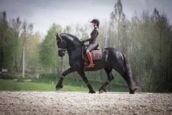 LeMieux Rhone Polo Bandages -Equestrian Supplies Online Shop 00006356W 2 311050033