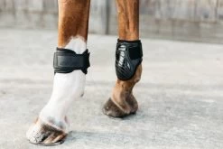 Kentucky Horsewear Kentucky Young Horse Fetlock Boots -Equestrian Supplies Online Shop 00006384W 3 313090110