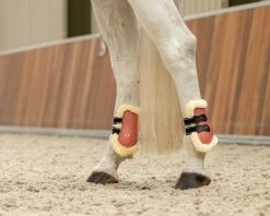 QHP Fetlock Boots Ontario -Equestrian Supplies Online Shop 00006435W 3 313035020