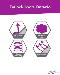 QHP Fetlock Boots Ontario -Equestrian Supplies Online Shop 00006435W 4 313060013