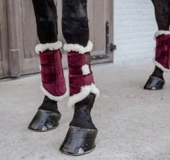 Kentucky Horsewear Kentucky Brushing Boots Velvet Contrast -Equestrian Supplies Online Shop 00006467W 4 312034035