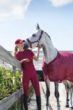 Eskadron Headcollar Pin-Buckle "Reflexx" -Equestrian Supplies Online Shop 00006602W 3 301035141