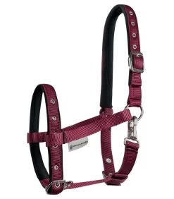 Waldhausen Foalhalter Comfort -Equestrian Supplies Online Shop 00006653W 1 301034065