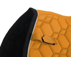 QHP Saddle Pad Eldorado -Equestrian Supplies Online Shop 00006657W 3 218020065