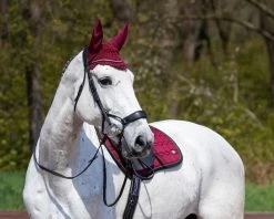 QHP Saddle Pad Eldorado -Equestrian Supplies Online Shop 00006657W 3 218034106