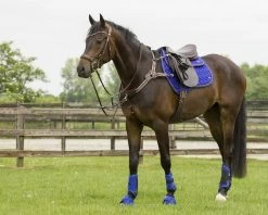 Eventing Boots Front Leg Technical -Equestrian Supplies Online Shop 00006658W 3 312074014