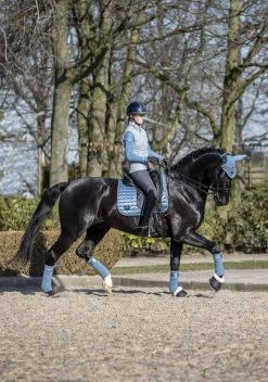 LeMieux Saddlepad Loire Classic Satin Dressage -Equestrian Supplies Online Shop 00006665W 2 218070326