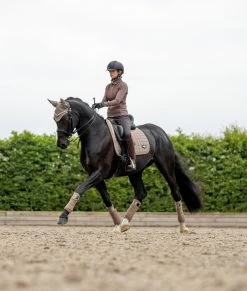 LeMieux Saddlepad Loire Classic Satin Dressage -Equestrian Supplies Online Shop 00006665W 3 218052034