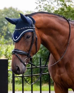 QHP Bridle Orlando -Equestrian Supplies Online Shop 00006675W 2 302090653
