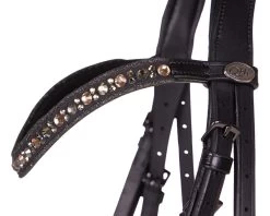 QHP Bridle Orlando -Equestrian Supplies Online Shop 00006675W 2 302090677