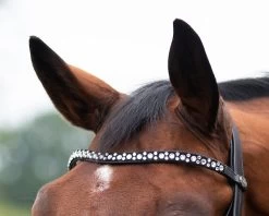 QHP Bridle Orlando -Equestrian Supplies Online Shop 00006675W 3 302090651