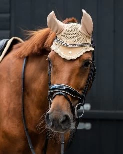QHP Bridle Orlando -Equestrian Supplies Online Shop 00006675W 3 302090676