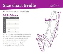 QHP Bridle Orlando -Equestrian Supplies Online Shop 00006675W 4 302090653