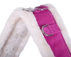 QHP Lunging Girth Ontario -Equestrian Supplies Online Shop 00006680W 2 305036019