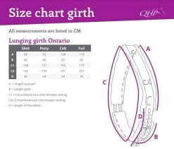 QHP Lunging Girth Ontario -Equestrian Supplies Online Shop 00006680W 2 305040011