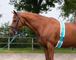 QHP Lunging Girth Ontario -Equestrian Supplies Online Shop 00006680W 2 305071010