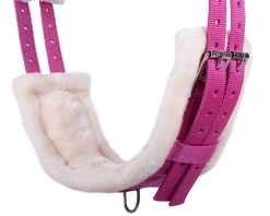 QHP Lunging Girth Ontario -Equestrian Supplies Online Shop 00006680W 3 305036019