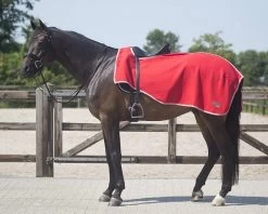 QHP Exercise Rug Fleece Color