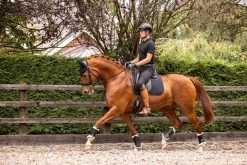 LeMieux Saddle Pad SoftShel Grip Dressage -Equestrian Supplies Online Shop 00006715W 4 218090466