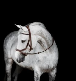 Horseware Rambo Micklem 2 Multi Bridle -Equestrian Supplies Online Shop 00006725W 1 302050143