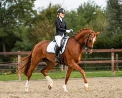 PresTeq Saddle Pad PerformNow -Equestrian Supplies Online Shop 00006741W 4 218010392