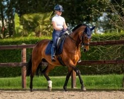 PresTeq Saddle Pad PerformNow -Equestrian Supplies Online Shop 00006741W 4 218079595