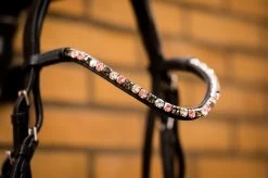 HB Bridle Showtime Evalira -Equestrian Supplies Online Shop 00006750W 3 302090693