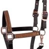 Harry's Horse Headcollar And Lead Metallic II
