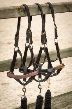 Harry's Horse Headcollar And Lead Metallic II -Equestrian Supplies Online Shop 00006751W 3 301090424