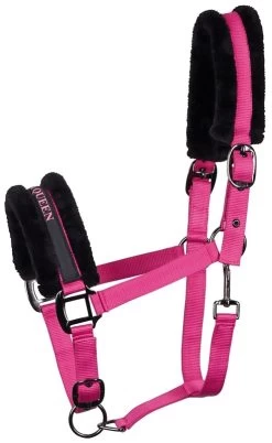 Harry's Horse Headcollar Lyrics Black