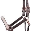 Harry's Horse Head Coller Leather Broadway