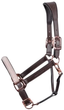 Harry's Horse Head Coller Leather Broadway