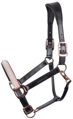 Harry's Horse Head Coller Leather Broadway -Equestrian Supplies Online Shop 00006754W 1 301090421