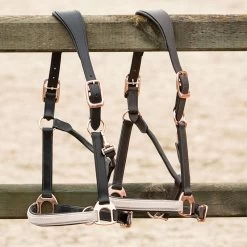 Harry's Horse Head Coller Leather Broadway -Equestrian Supplies Online Shop 00006754W 4 301090421