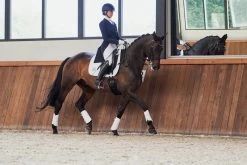 Eskadron Tendon Boots Softshell "Platinum Pure" -Equestrian Supplies Online Shop 00006762W 3 312010142