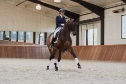 Eskadron Tendon Boots Softshell "Platinum Pure" -Equestrian Supplies Online Shop 00006762W 4 312010142