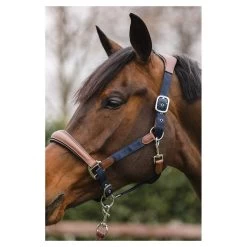 ANKY Halter Combi With Rope -Equestrian Supplies Online Shop 00006770W 4 301050159