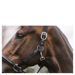 ANKY Halter Combi With Rope -Equestrian Supplies Online Shop 00006770W 4 301090425