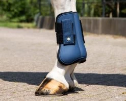 QHP Tendon Boots Rio -Equestrian Supplies Online Shop 00006776W 3 312079086